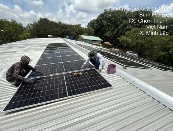 Lắp 20kw bám tải cho trại heo tại Chơn Thành, Bình Phước